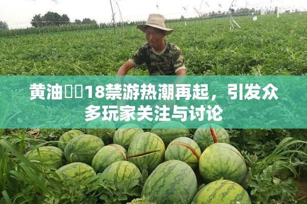 黄油❌‌18禁游热潮再起，引发众多玩家关注与讨论