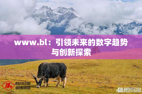 www.bl：引领未来的数字趋势与创新探索