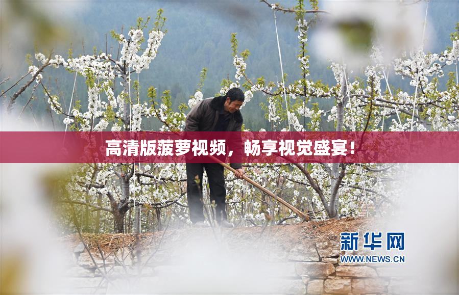 高清版菠萝视频，畅享视觉盛宴！