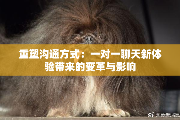 重塑沟通方式：一对一聊天新体验带来的变革与影响