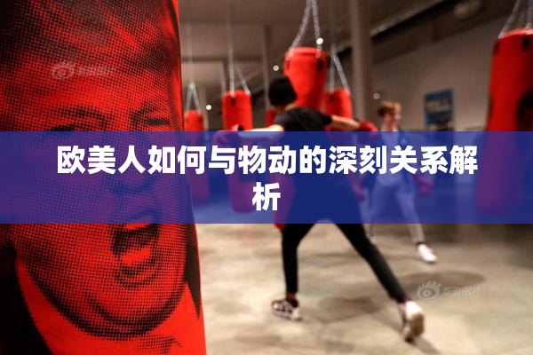欧美人如何与物动的深刻关系解析
