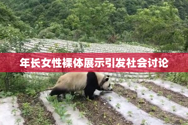 年长女性裸体展示引发社会讨论