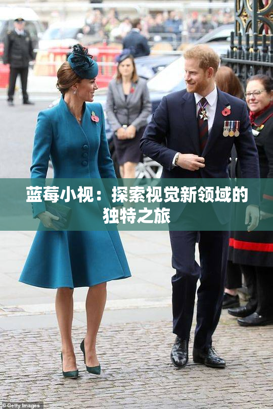 蓝莓小视：探索视觉新领域的独特之旅