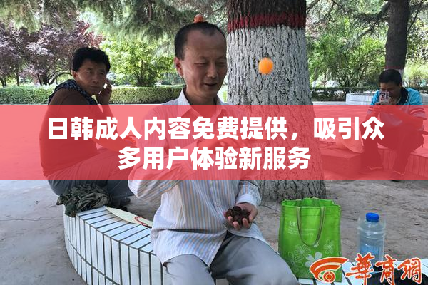 日韩成人内容免费提供，吸引众多用户体验新服务