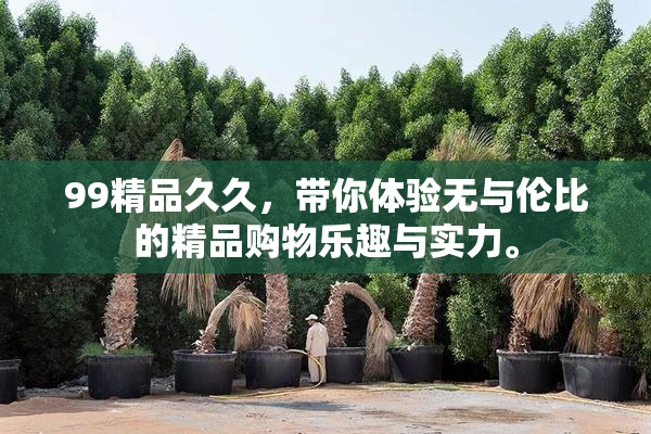 99精品久久，带你体验无与伦比的精品购物乐趣与实力。