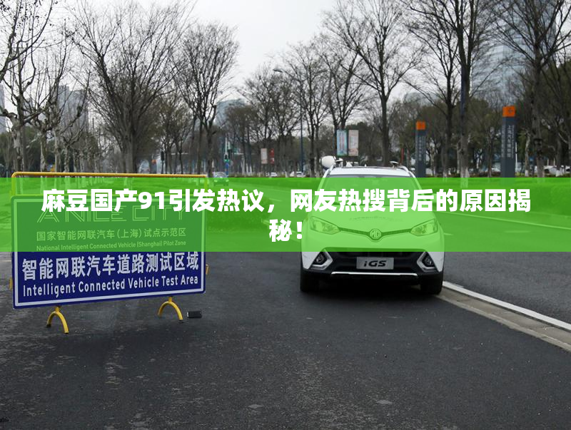 麻豆国产91引发热议，网友热搜背后的原因揭秘！