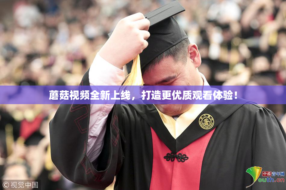 蘑菇视频全新上线，打造更优质观看体验！