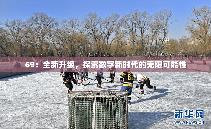 69：全新升级，探索数字新时代的无限可能性