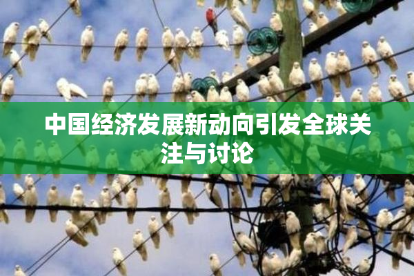 中国经济发展新动向引发全球关注与讨论