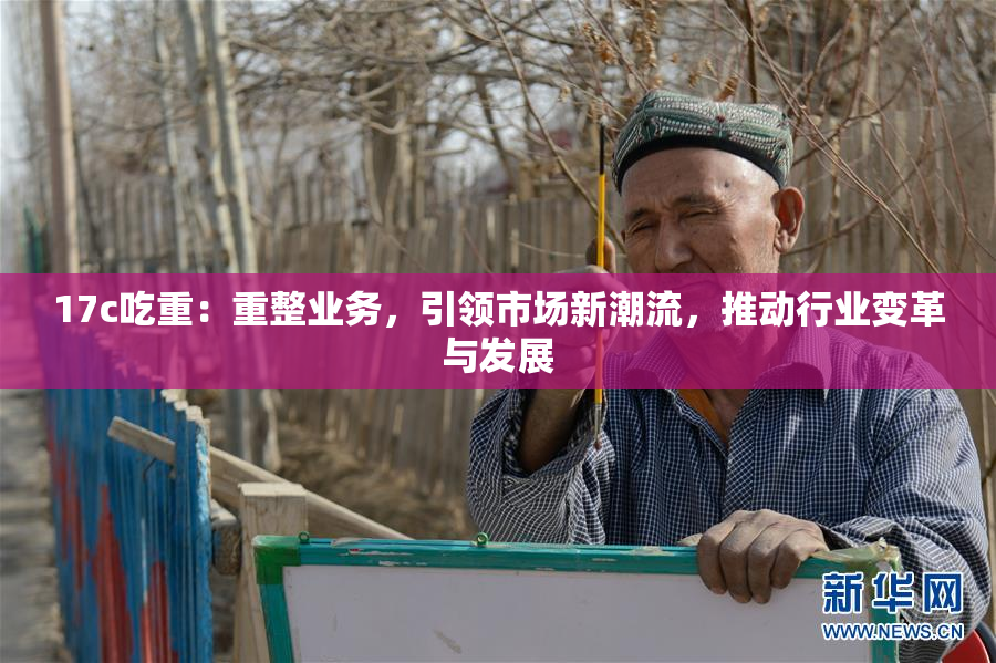 17c吃重：重整业务，引领市场新潮流，推动行业变革与发展