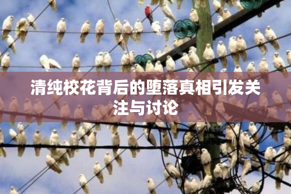 清纯校花背后的堕落真相引发关注与讨论
