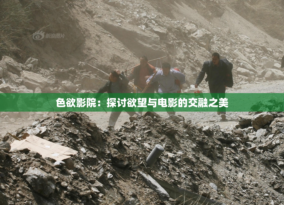 色欲影院：探讨欲望与电影的交融之美