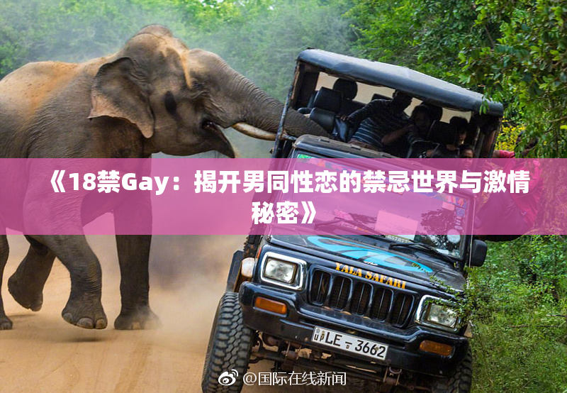 《18禁Gay：揭开男同性恋的禁忌世界与激情秘密》