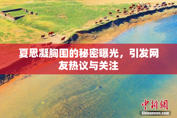 夏思凝胸围的秘密曝光，引发网友热议与关注