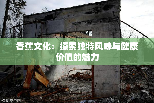 香蕉文化：探索独特风味与健康价值的魅力