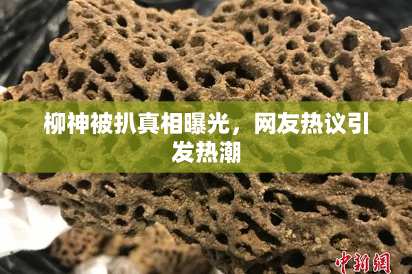 柳神被扒真相曝光，网友热议引发热潮