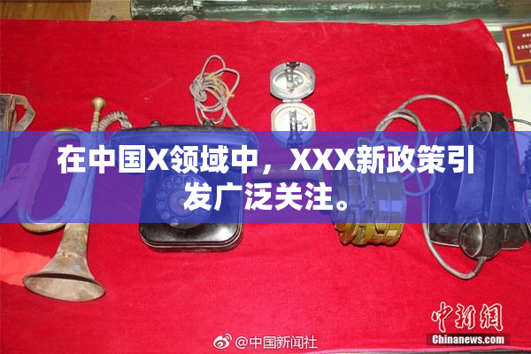 在中国X领域中，XXX新政策引发广泛关注。