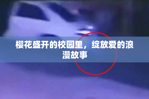樱花盛开的校园里，绽放爱的浪漫故事