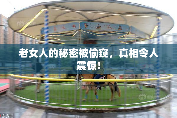 老女人的秘密被偷窥，真相令人震惊！