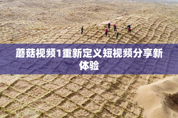 蘑菇视频1重新定义短视频分享新体验