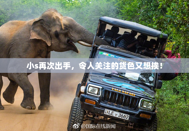 小s再次出手，令人关注的货色又想挨！