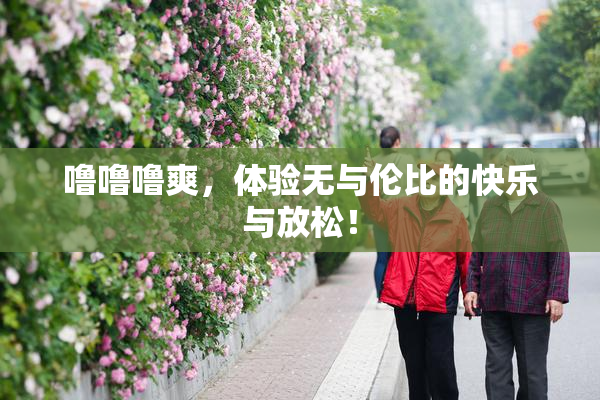 噜噜噜爽，体验无与伦比的快乐与放松！