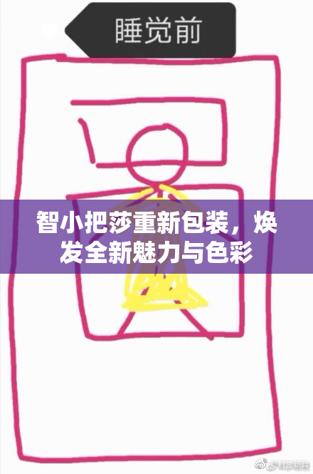 智小把莎重新包装，焕发全新魅力与色彩