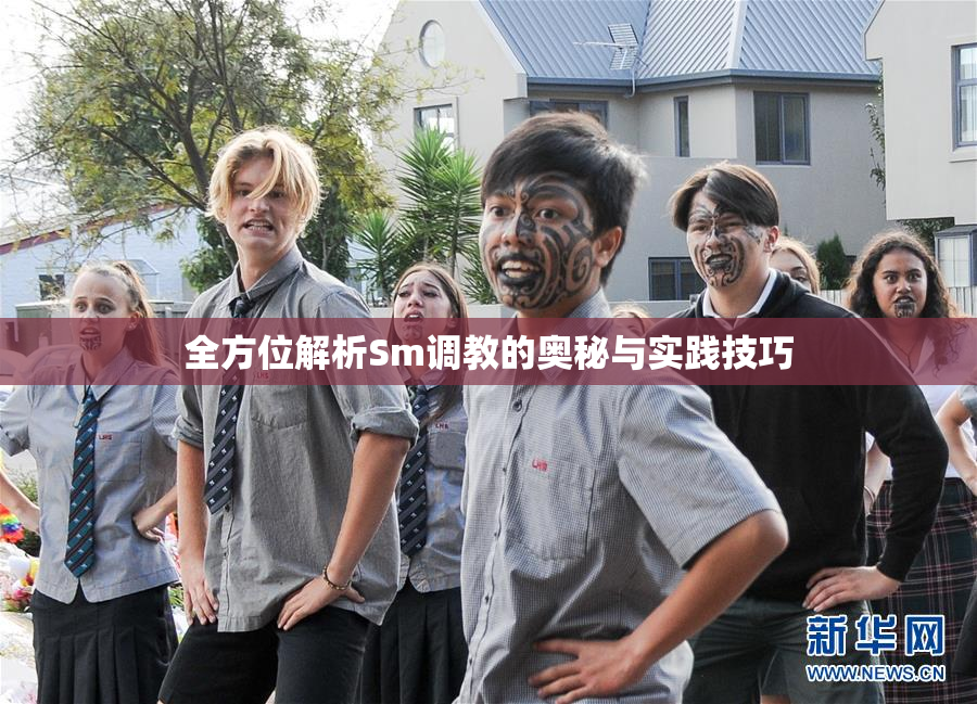 全方位解析Sm调教的奥秘与实践技巧