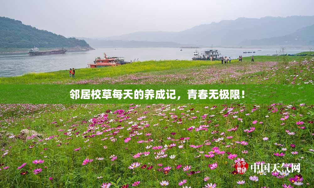邻居校草每天的养成记，青春无极限！