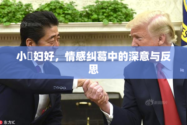 小婬妇好，情感纠葛中的深意与反思