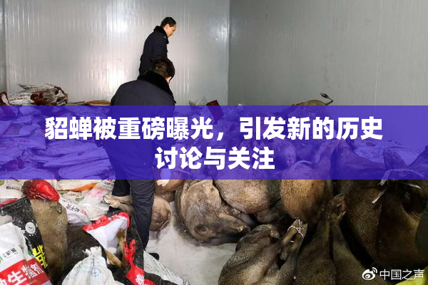 貂蝉被重磅曝光，引发新的历史讨论与关注