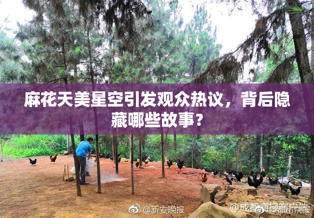 麻花天美星空引发观众热议，背后隐藏哪些故事？