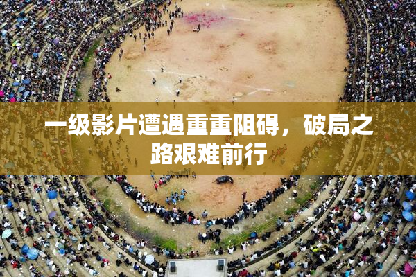 一级影片遭遇重重阻碍，破局之路艰难前行