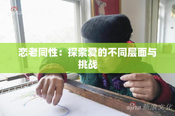 恋老同性：探索爱的不同层面与挑战