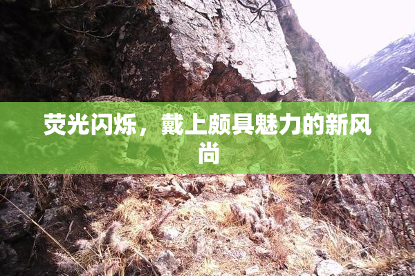 荧光闪烁，戴上颇具魅力的新风尚