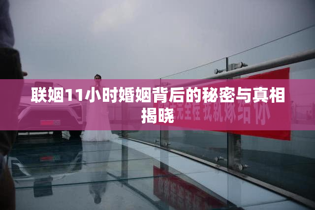 联姻11小时婚姻背后的秘密与真相揭晓