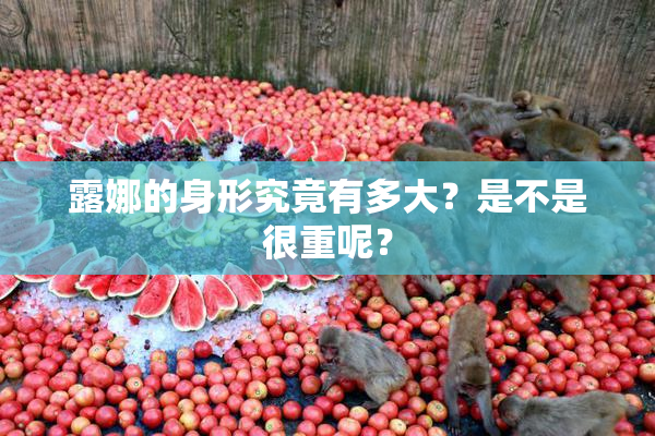 露娜的身形究竟有多大？是不是很重呢？