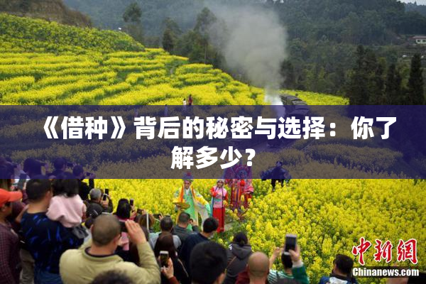 《借种》背后的秘密与选择：你了解多少？