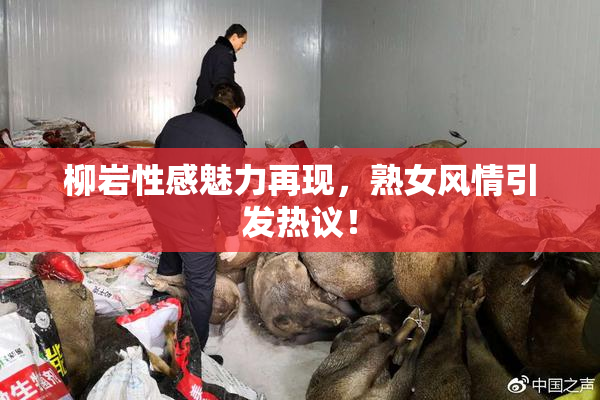 柳岩性感魅力再现，熟女风情引发热议！
