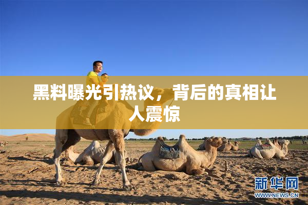 黑料曝光引热议，背后的真相让人震惊