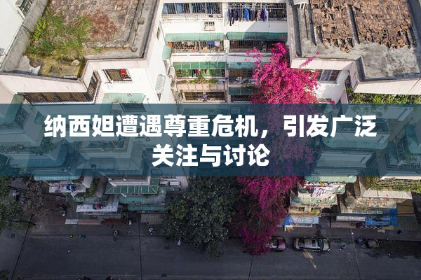纳西妲遭遇尊重危机，引发广泛关注与讨论