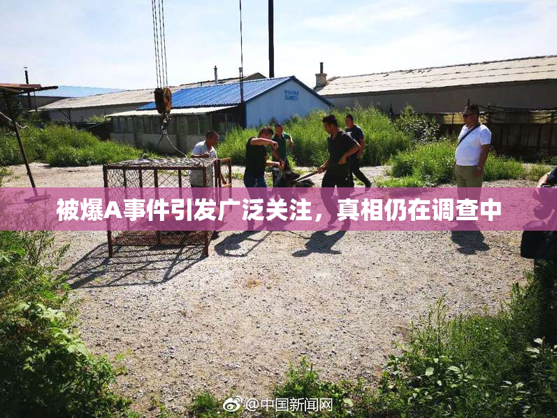 被爆A事件引发广泛关注，真相仍在调查中