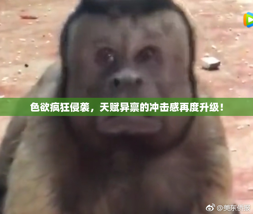 色欲疯狂侵袭，天赋异禀的冲击感再度升级！