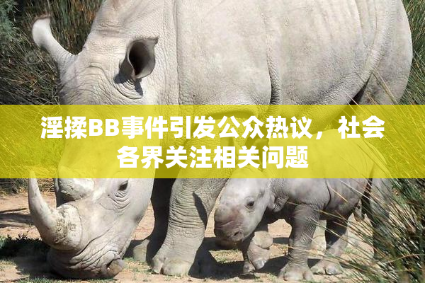 淫揉BB事件引发公众热议，社会各界关注相关问题