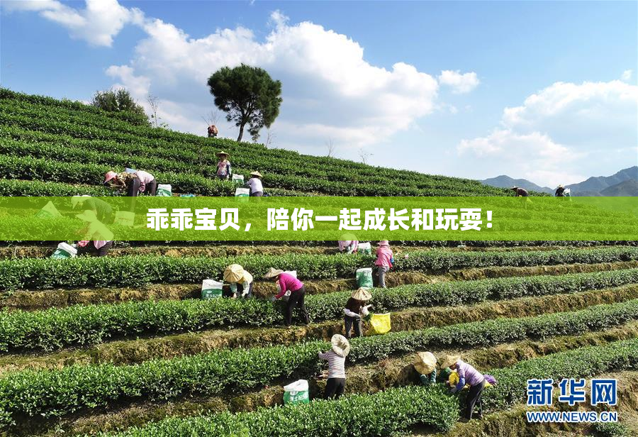 乖乖宝贝，陪你一起成长和玩耍！
