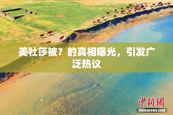 美杜莎被？的真相曝光，引发广泛热议