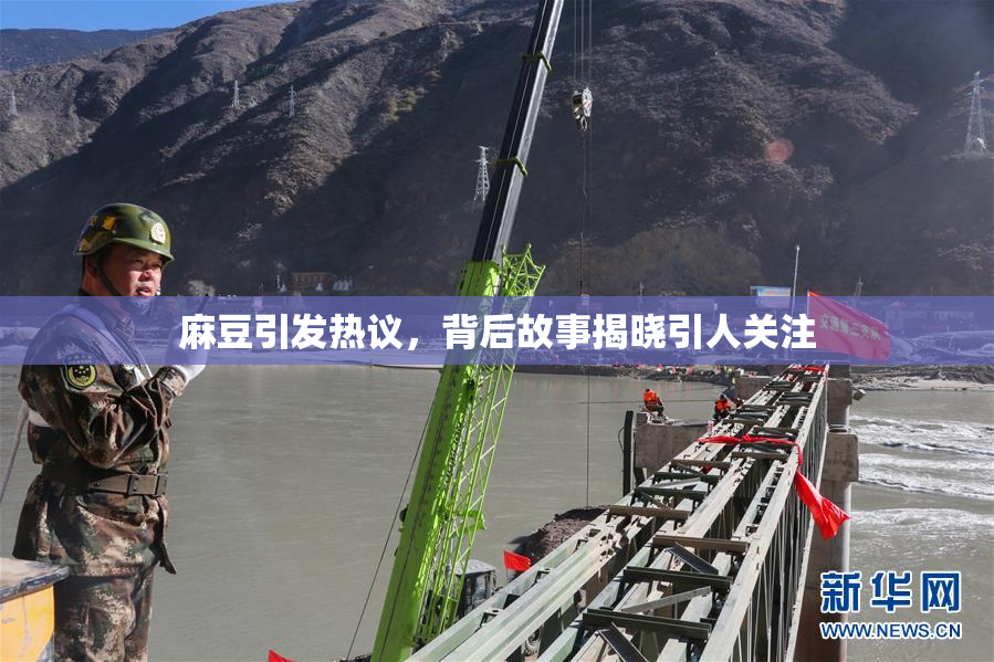 麻豆引发热议，背后故事揭晓引人关注