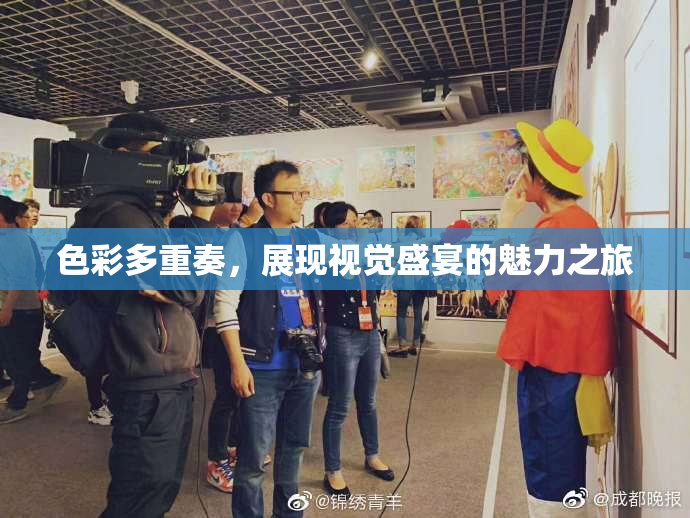 色彩多重奏，展现视觉盛宴的魅力之旅