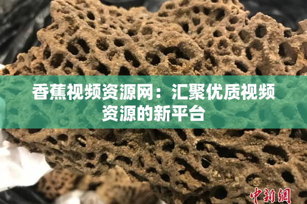 香蕉视频资源网：汇聚优质视频资源的新平台