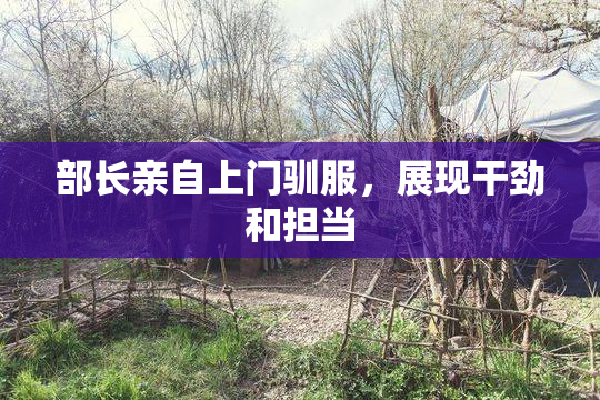 部长亲自上门驯服，展现干劲和担当